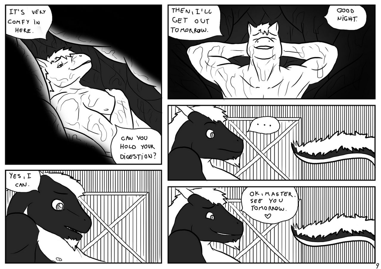 Stallion & Nite page 1