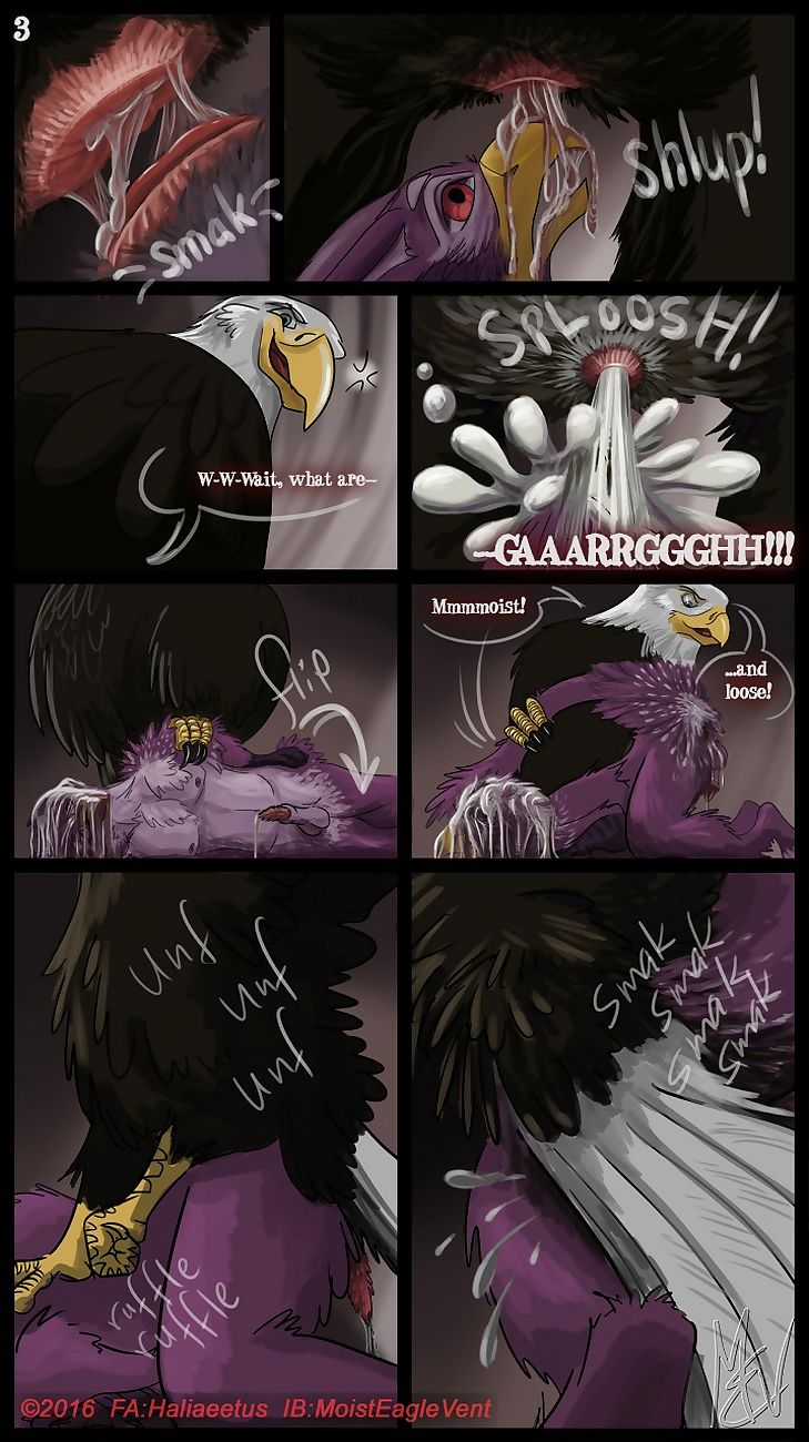 Zeek Finds An Eagle Eyrie page 1