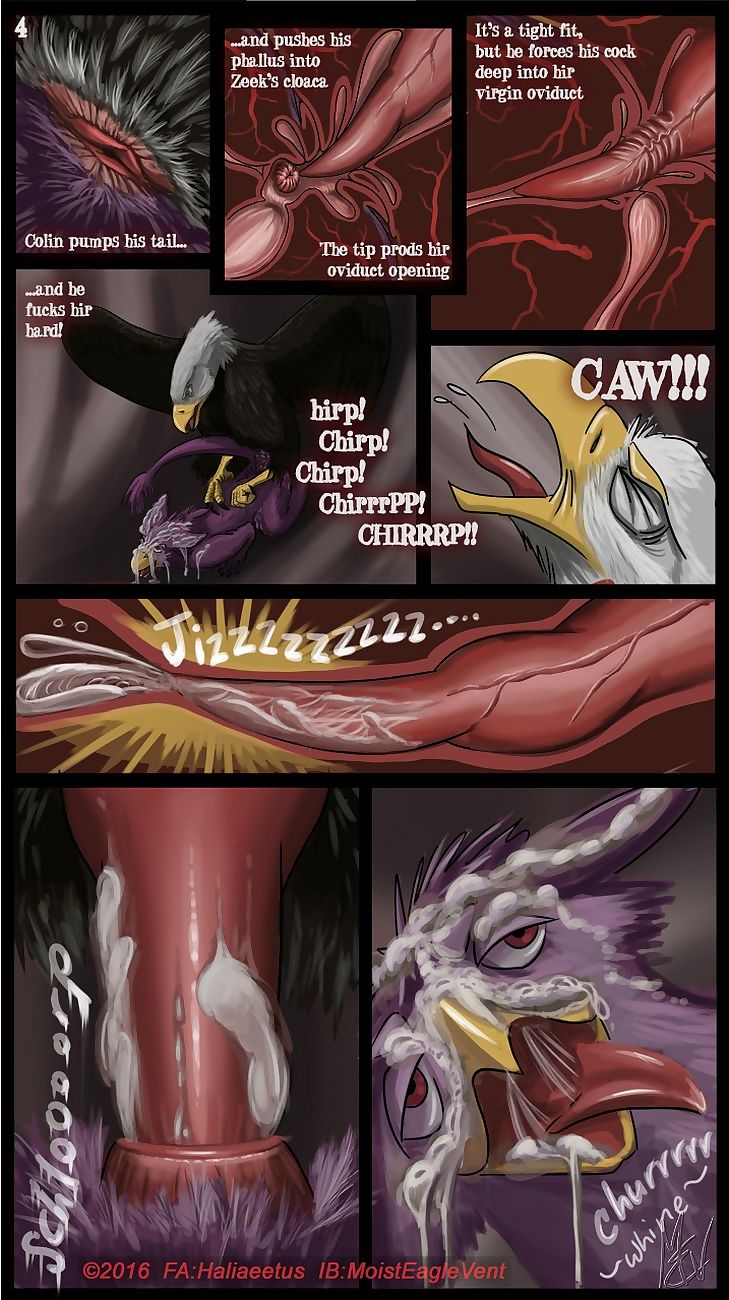 Zeek Finds An Eagle Eyrie page 1