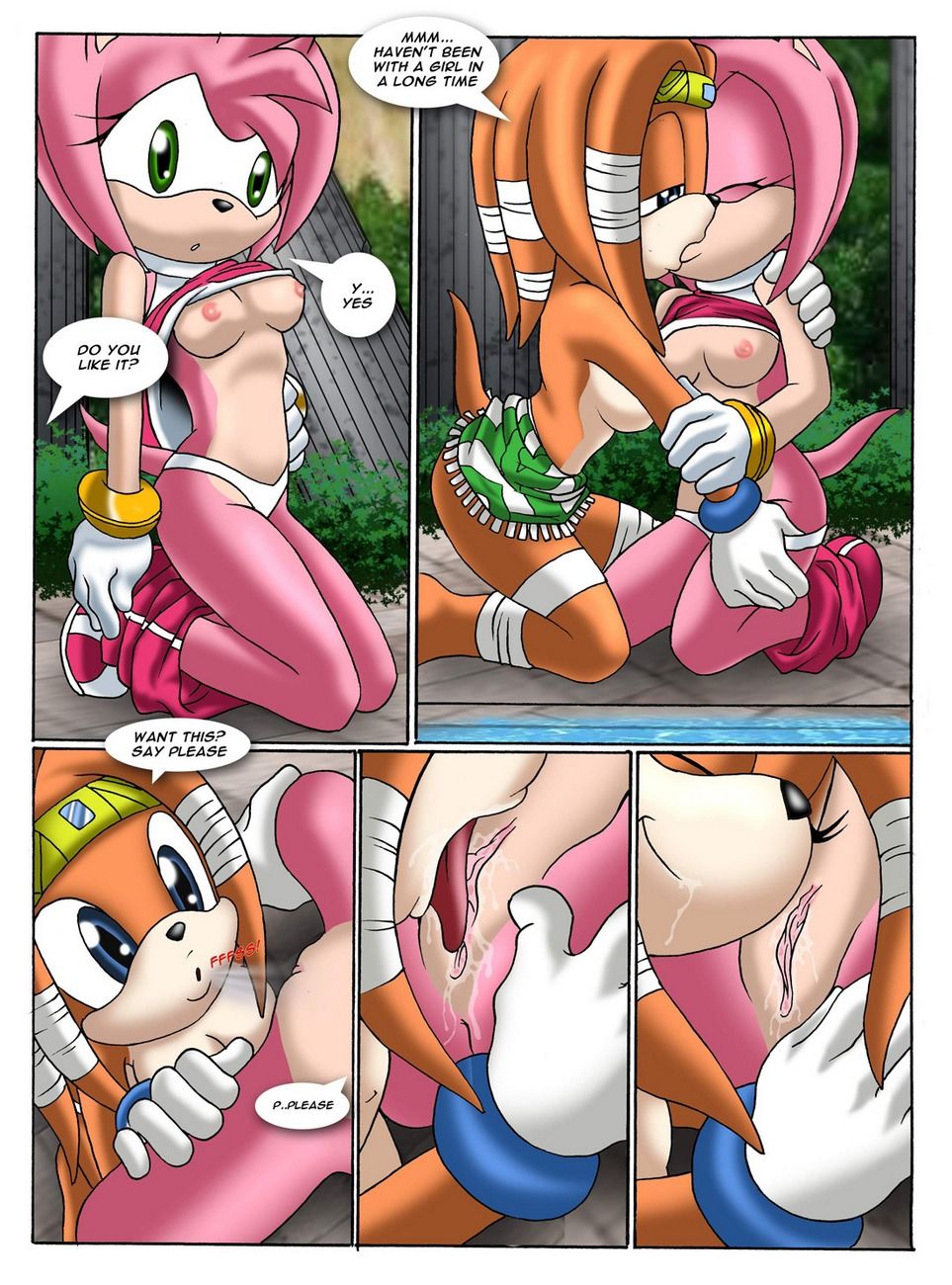 Sonic Project XXX 2 - part 2 page 1